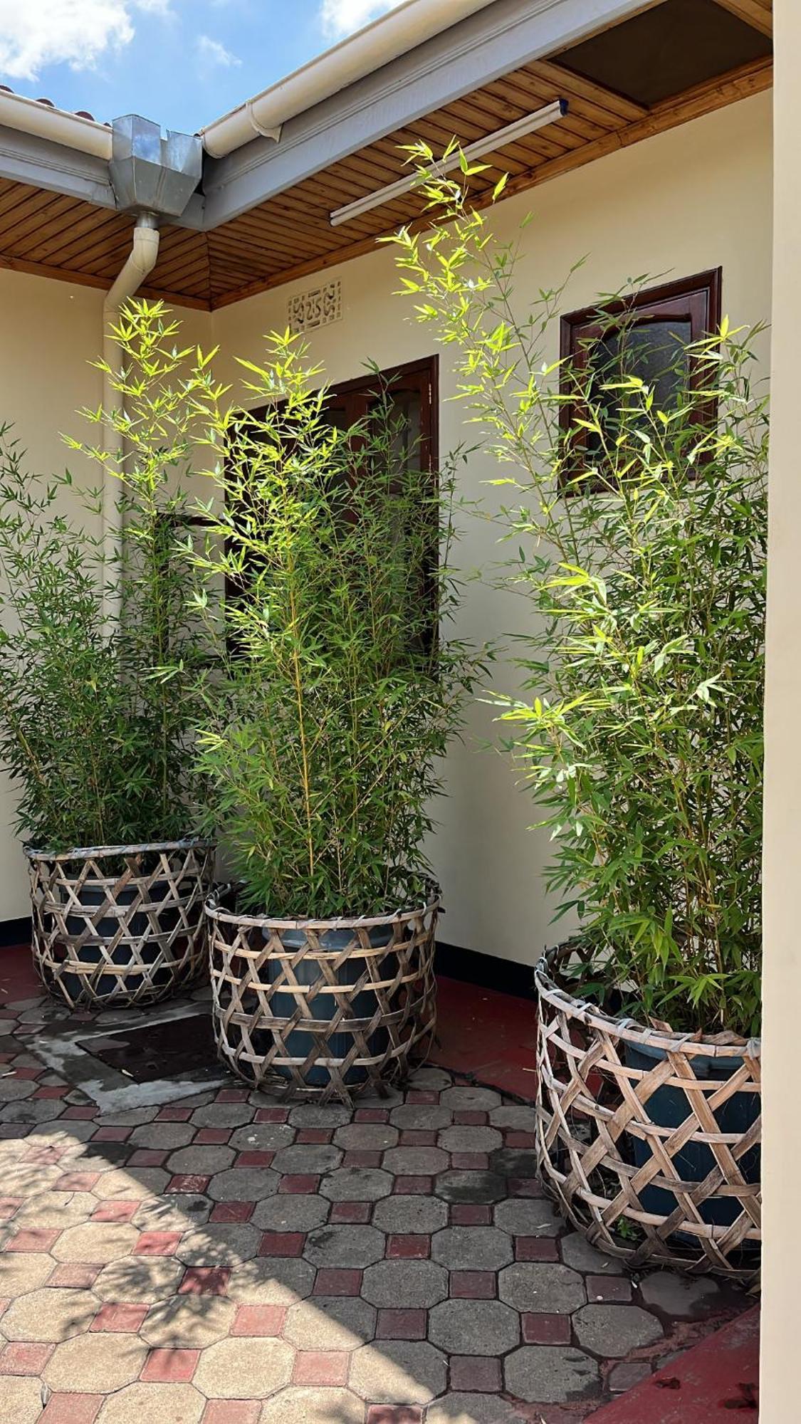 Stasumo House Arusha住宿加早餐旅馆 外观 照片